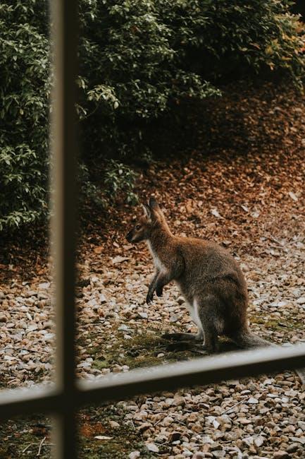 Exploring London Zoo's Fascinating Wildlife