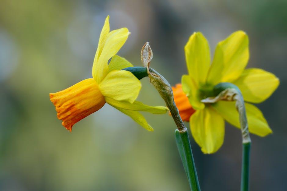 Unraveling the Symbolism and Imagery in Wordsworth’s Masterpiece