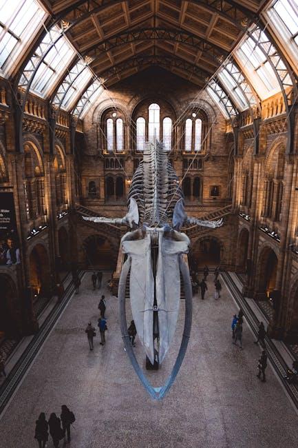 Unveiling the Mysterious London Whale Phenomenon