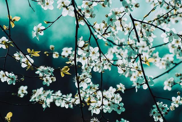 Embracing Spring Festivals and Events in London